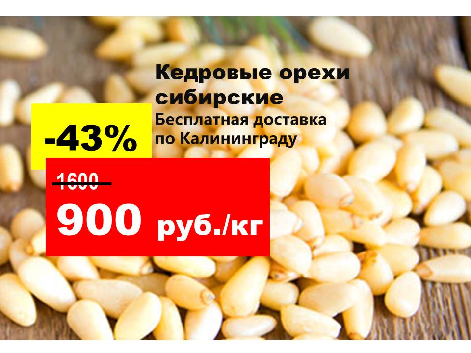 Вкусные орешки с "Белкиного склада": в Калининграде появился бесплатный ...